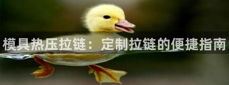 emc易倍平台