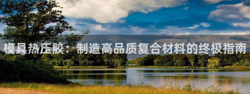 易倍申价格是多少：模具热压胶：制造高品质复合材料的终极指