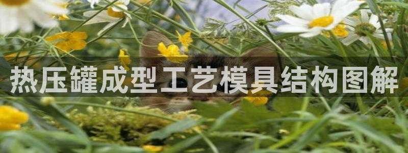 emc易倍官网登录入口