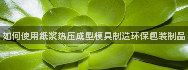 emc mcu：如何使用纸浆热压成型模具制造环保包装制品