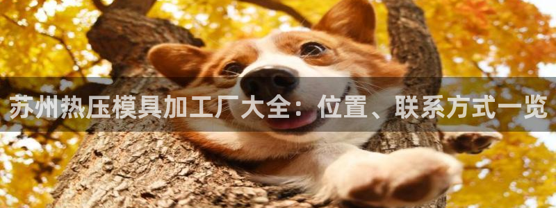 易倍申不良反应