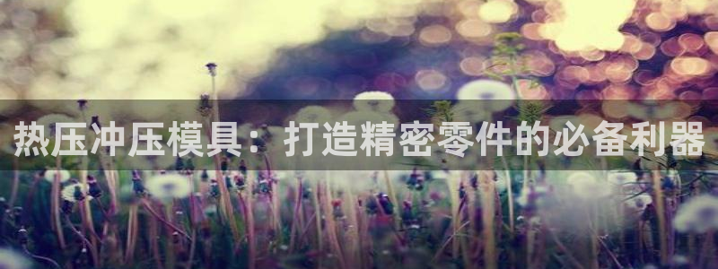 易倍申厂家