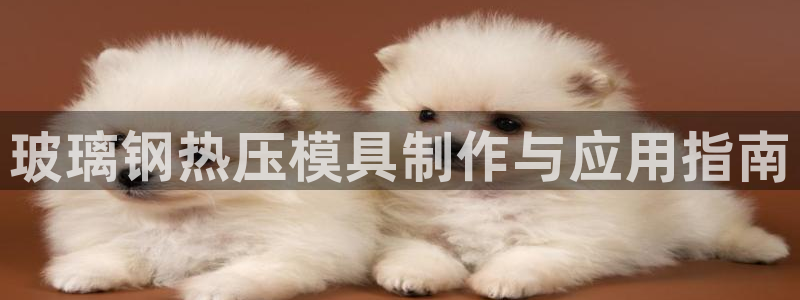 易倍申每盒价格是多少?：玻璃钢热压模具制作与应用指南
