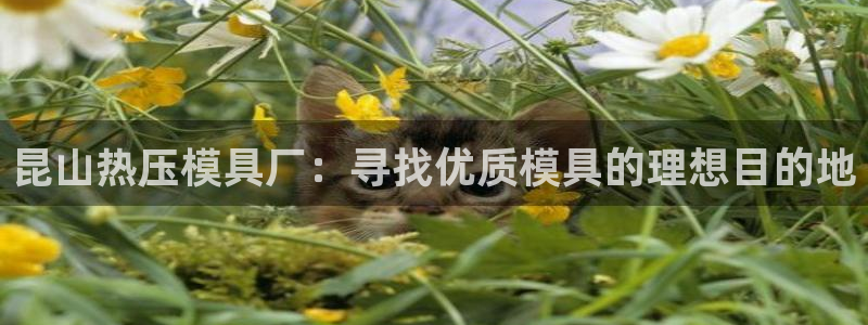 易倍申生产厂家