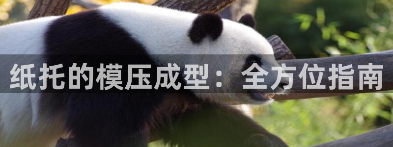 emc易倍黑吗