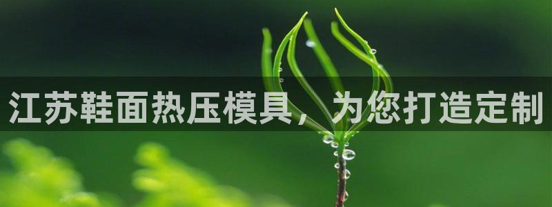 易倍单词如何下载