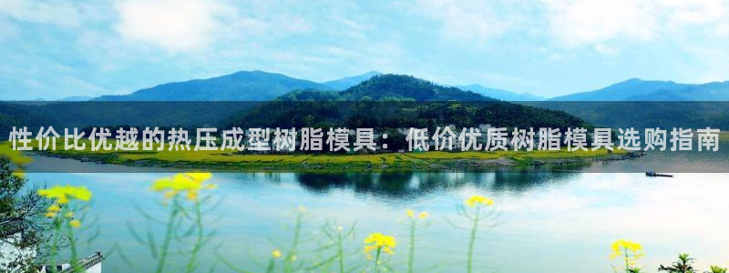 易倍全站下载：性价比优越的热压成型树脂模具：低价优质树脂