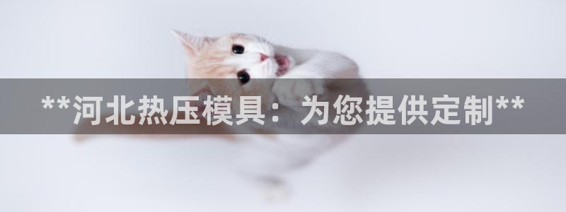 易倍申服用方法：**河北热压模具：为您提供定制**