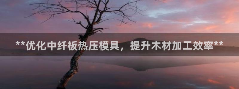 易倍易趣网：**优化中纤板热压模具，提升木材加工效率**