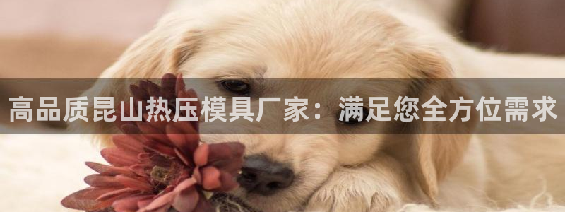 北京易倍思教育科技有限公司：高品质昆山热压模具厂家：满足