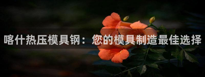 易倍单词软件
