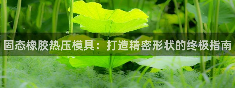 易倍康简历：固态橡胶热压模具：打造精密形状的终极指南