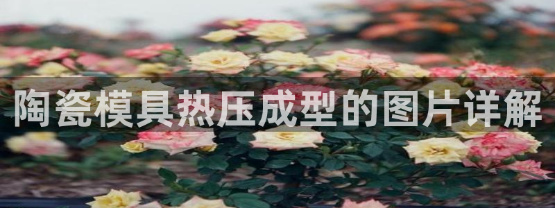 emc易倍官网首页：陶瓷模具热压成型的图片详解