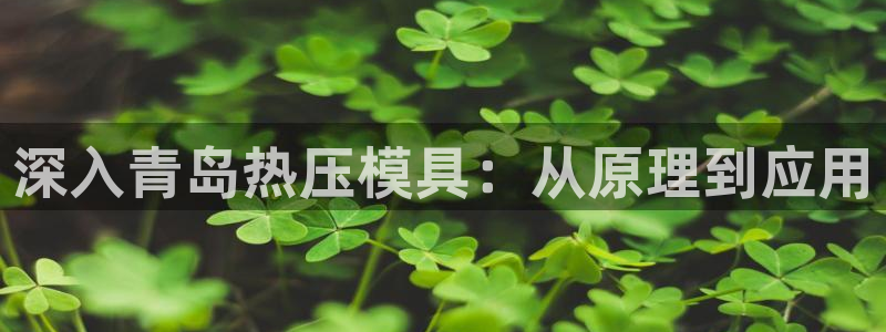 易倍达怎么样