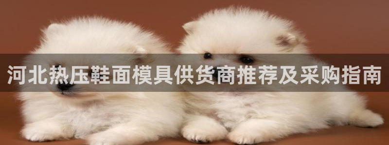 易倍申厂家
