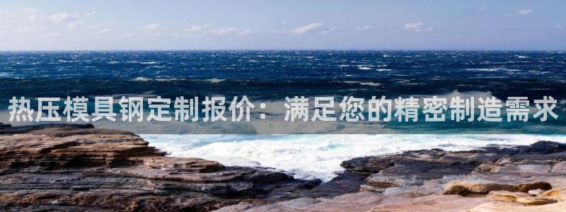 易倍单词官方网站：热压模具钢定制报价：满足您的精密制造需