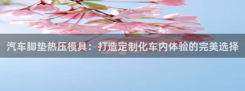 易倍达科技有限公司官网：汽车脚垫热压模具：打造定制化车内