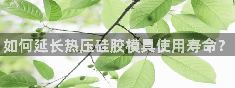 易倍申生产厂家