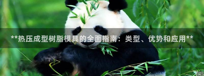 杭州易倍达上班怎么样：**热压成型树脂模具的全面指南：类