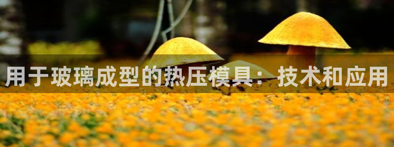 emc易倍首页