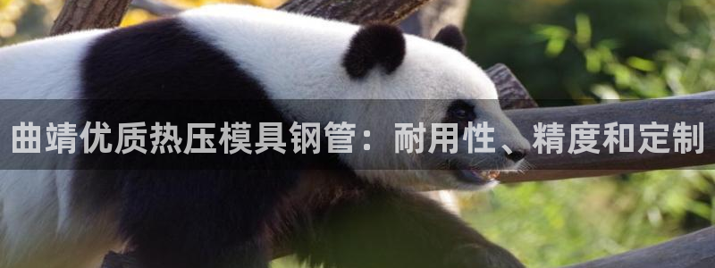 南京易倍易电子科技有限公司：曲靖优质热压模具钢管：耐用性