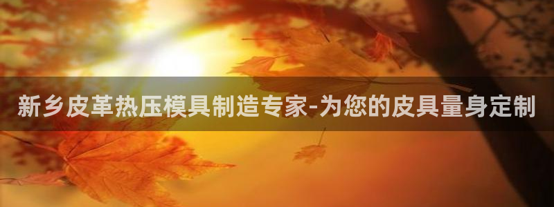 易倍纤官网：新乡皮革热压模具制造专家-为您的皮具量身定制