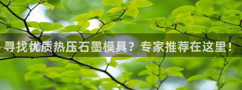易倍申不良反应：寻找优质热压石墨模具？专家推荐在这里！