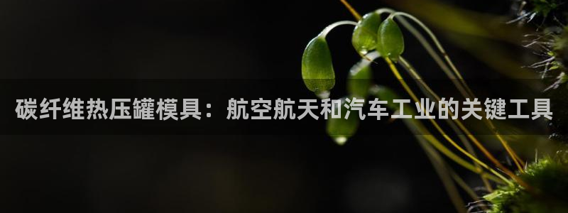 emc易倍是黑台子吗：碳纤维热压罐模具：航空航天和汽车工