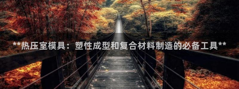 易倍纤瘦身三部曲的价格：**热压室模具：塑性成型和复合材