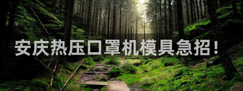 易倍单词软件