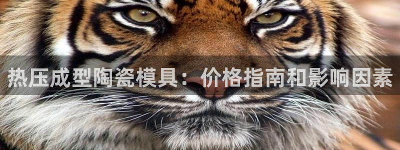 四川易倍易企业管理有限公司：热压成型陶瓷模具：价格指南和