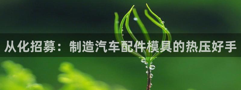 易倍申有用吗