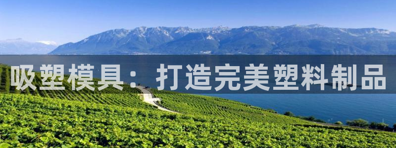 易倍纤能减肥吗：吸塑模具：打造完美塑料制品