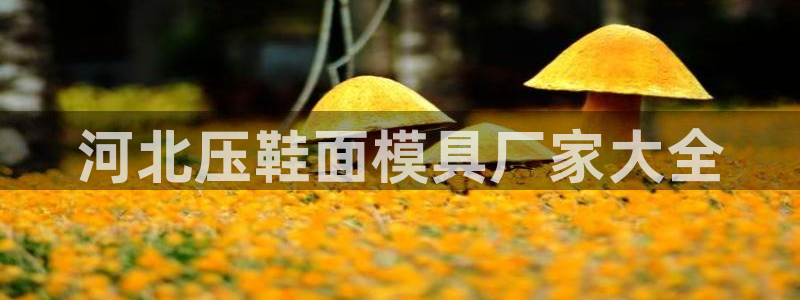 易倍申是进口药吗
