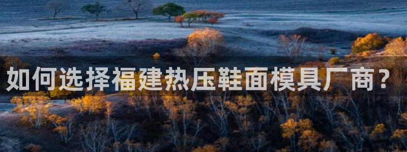 易倍思怎么样