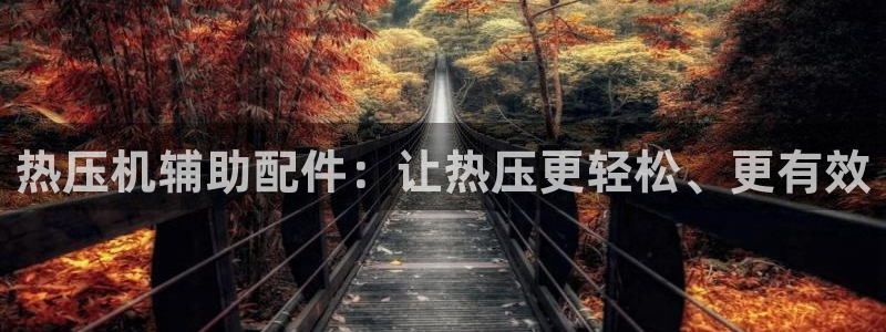 易倍申医保报销