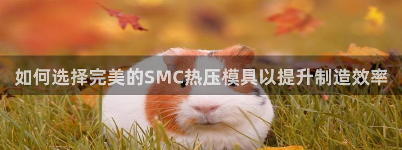 emc32软件