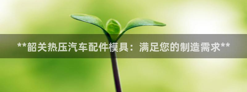 emc易倍官方：**韶关热压汽车配件模具：满足您的制造需