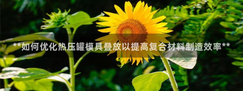 emc易倍官方平：**如何优化热压罐模具叠放以提高复合材