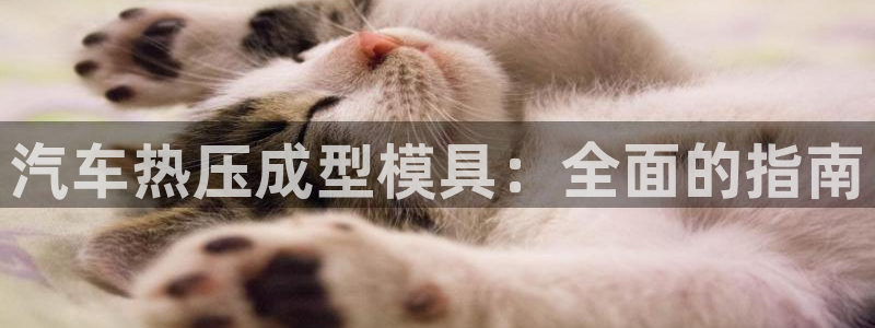 易倍纤奶昔减肥效果怎么样：汽车热压成型模具：全面的指南
