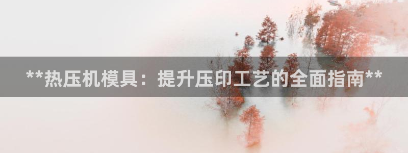 低频的emc用什么滤波：**热压机模具：提升压印工艺的全