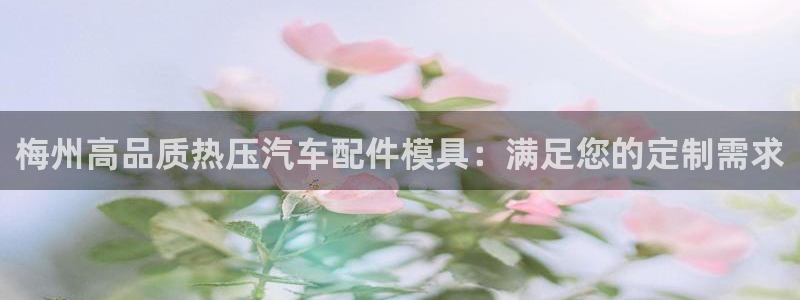 易倍纤多少钱：梅州高品质热压汽车配件模具：满足您的定制需
