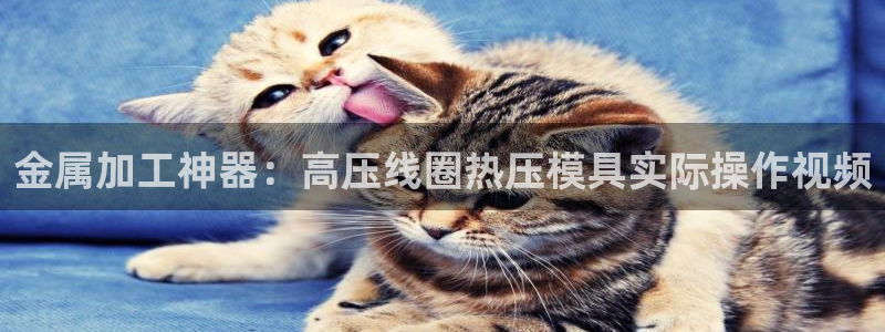 emc app下载