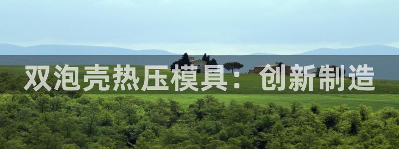 易倍申片说明书：双泡壳热压模具：创新制造