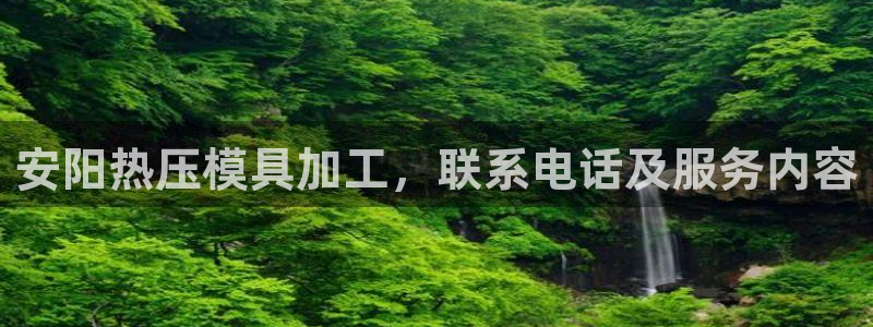 易倍申多少钱