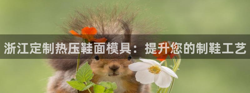 易倍申多少钱一盒：浙江定制热压鞋面模具：提升您的制鞋工艺
