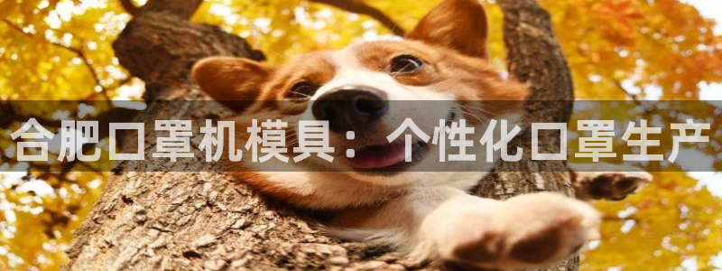 emc易倍网站是多少：合肥口罩机模具：个性化口罩生产