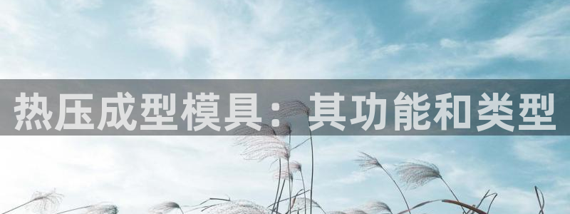 易倍单词官方网站