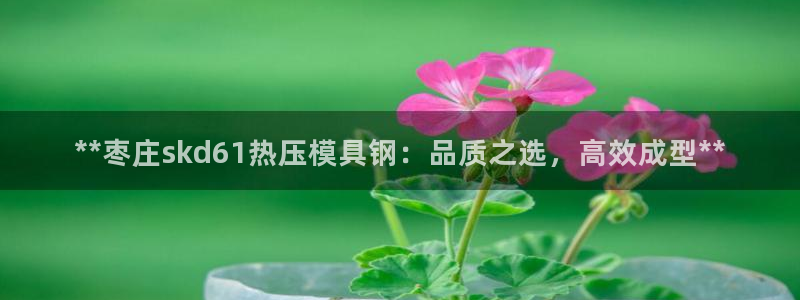emc网页版