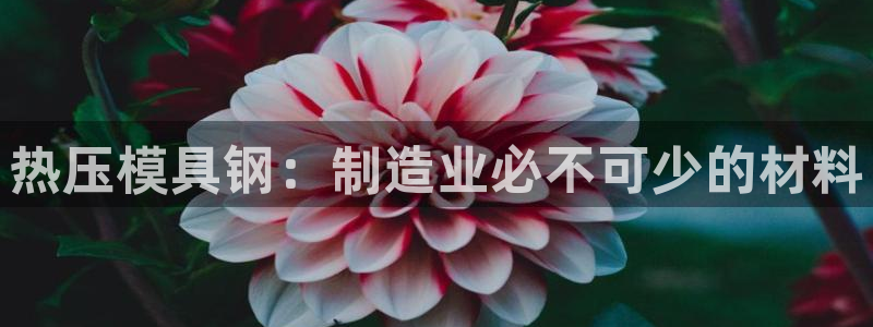 易倍申上市时间：热压模具钢：制造业必不可少的材料